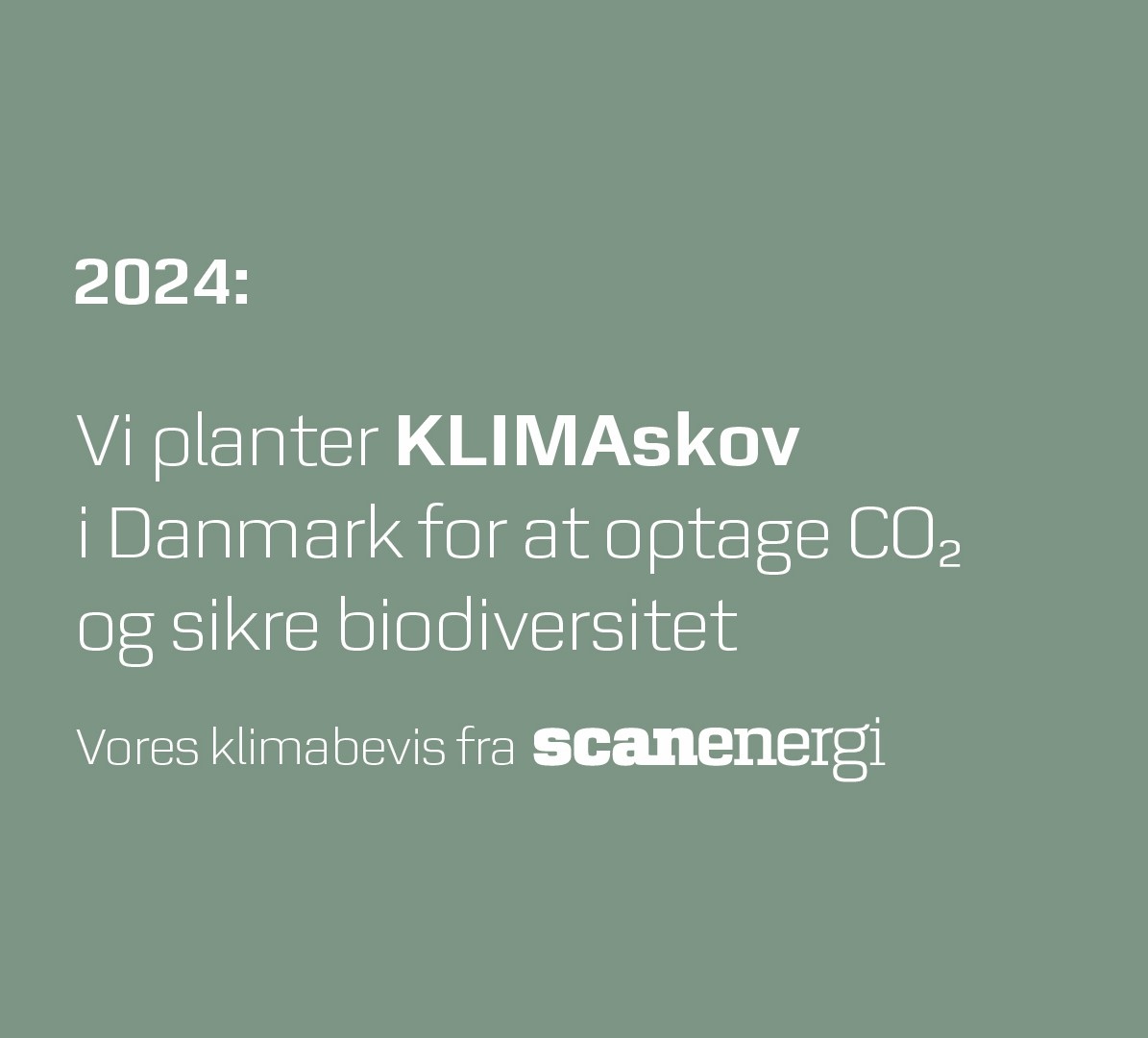 klimabevis 2024_tekst